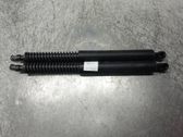 Tailgate/trunk strut/damper