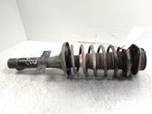 Front shock absorber with coil spring