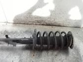 Amortiguador delantero con muelle espiral