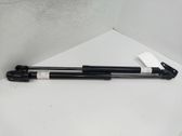 Tailgate/trunk strut/damper