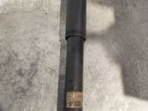 Rear shock absorber/damper