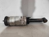 Front shock absorber with coil spring