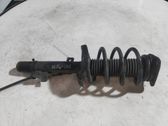 Amortiguador delantero con muelle espiral