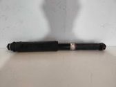 Rear shock absorber/damper