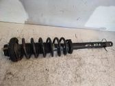 Rear shock absorber/damper