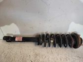 Rear shock absorber/damper