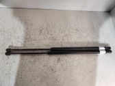 Tailgate/trunk strut/damper