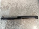 Tailgate/trunk strut/damper