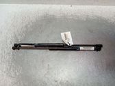 Tailgate/trunk strut/damper