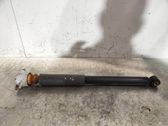 Rear shock absorber/damper