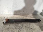 Rear shock absorber/damper