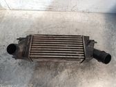 Intercooler radiator