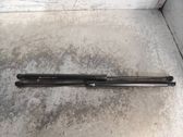 Tailgate/trunk strut/damper