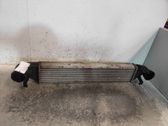 Radiador intercooler