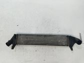Radiador intercooler