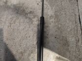 Front bonnet/hood damper/strut