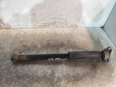 Stoßdämpfer hinten