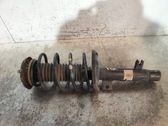 Amortiguador delantero con muelle espiral