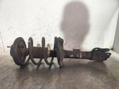 Amortiguador delantero con muelle espiral