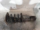 Front shock absorber with coil spring