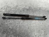 Tailgate/trunk strut/damper