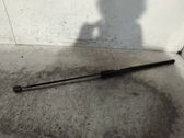 Front bonnet/hood damper/strut