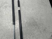 Tailgate/trunk strut/damper