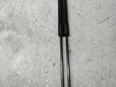 Tailgate/trunk strut/damper
