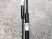 Tailgate/trunk strut/damper