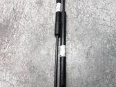 Tailgate/trunk strut/damper