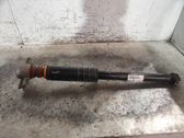 Rear shock absorber/damper