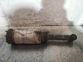 Front shock absorber with coil spring