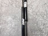 Tailgate/trunk strut/damper