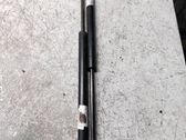 Tailgate/trunk strut/damper