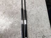 Tailgate/trunk strut/damper