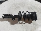 Front shock absorber with coil spring