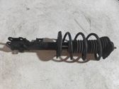 Amortiguador delantero con muelle espiral