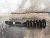 Amortiguador delantero con muelle espiral
