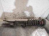 Front shock absorber with coil spring