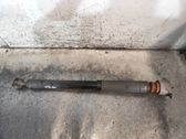Rear shock absorber/damper