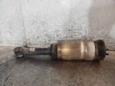 Front shock absorber with coil spring