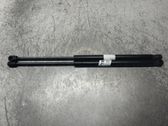 Tailgate/trunk strut/damper