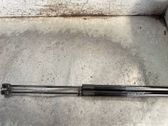 Tailgate/trunk strut/damper