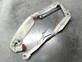 Airbag de la puerta delantera