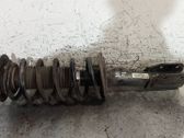 Front shock absorber with coil spring