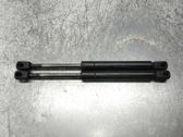 Tailgate/trunk strut/damper