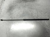 Front bonnet/hood damper/strut