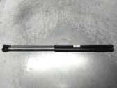 Tailgate/trunk strut/damper