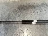 Front bonnet/hood damper/strut