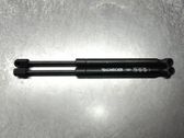 Tailgate/trunk strut/damper
